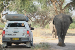 Namibia_August (70/135)